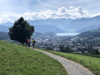 Farm visit and local food tasting from Lucerne